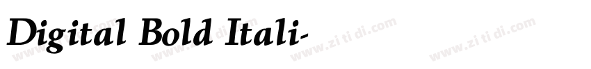 Digital Bold Itali字体转换